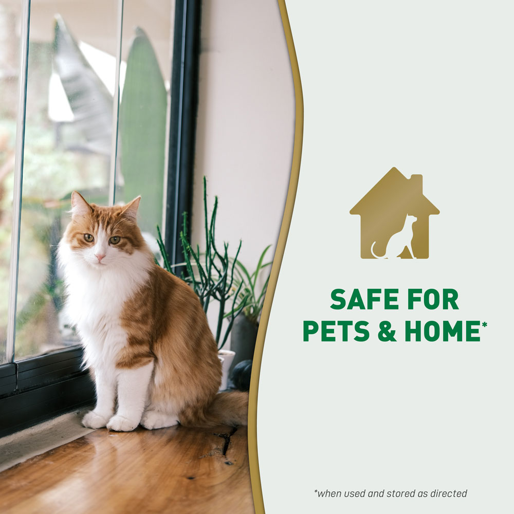 Pets at cheap home urine destroyer